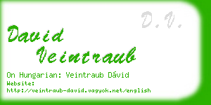 david veintraub business card